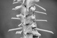 9C466553-27C2-474B-9AFF-E3630684FEB9_1_105_c